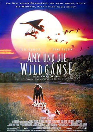 AMY UND DIE WILDGÄNSE