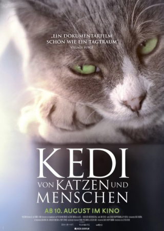 KEDI - VON KATZEN UND MENSCHEN